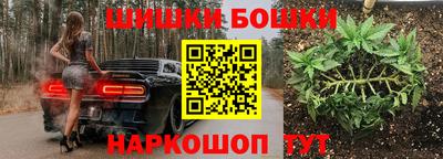 шишки Кулебаки