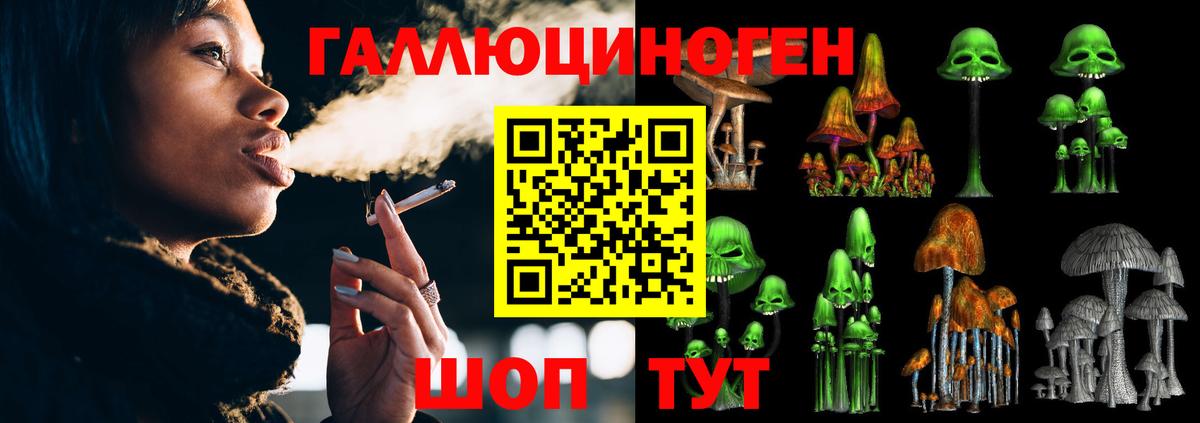 Псилоцибиновые грибы MAGIC MUSHROOMS Донской