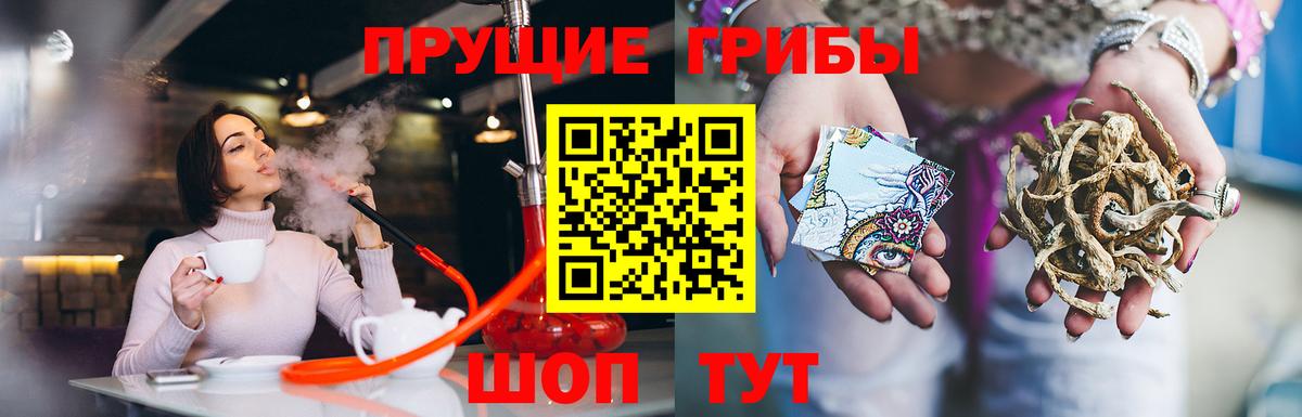 Галлюциногенные грибы прущие грибы  Галлюциногенные грибы прущие грибы  Вход с VPN  Донской 